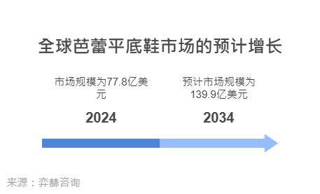 025年芭蕾平底鞋市场AG真人平台全面解析2(图3)